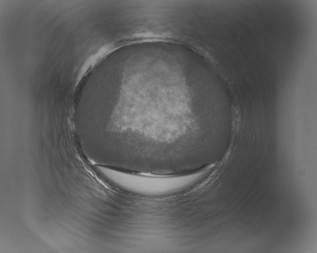 X0000076321357200610201628