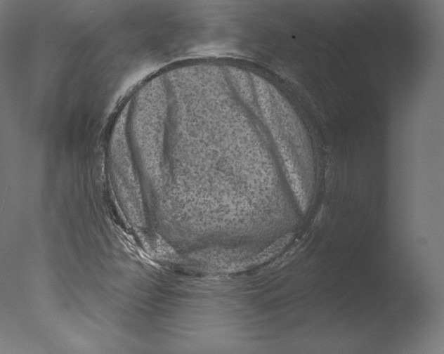 X0000076321358200610201628