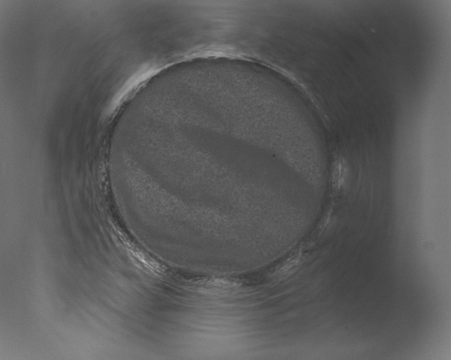 X0000076321359200610201628