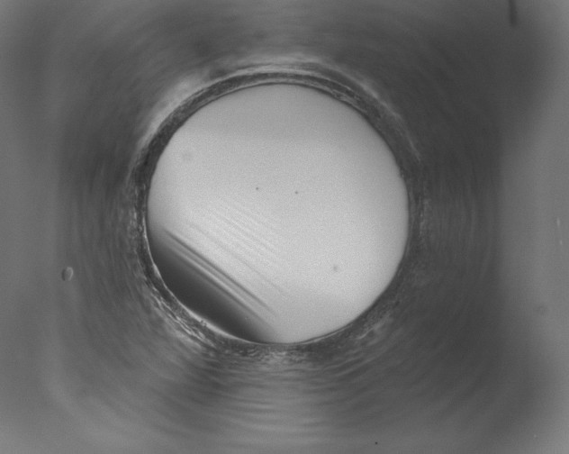 X0000076321360200610201628