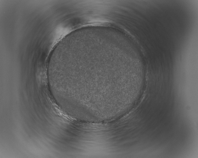 X0000076321362200610201628