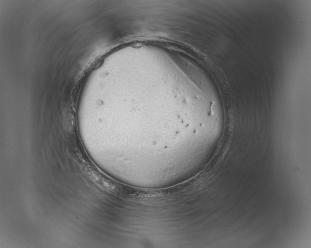 X0000076321363200610201628