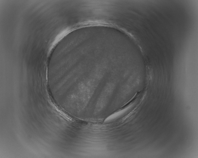 X0000076321365200610201628