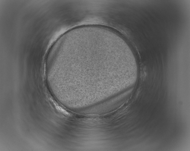 X0000076321366200610201628