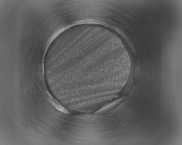 X0000076321372200610201627