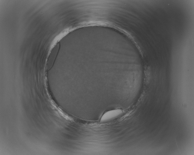 X0000076321373200610201627