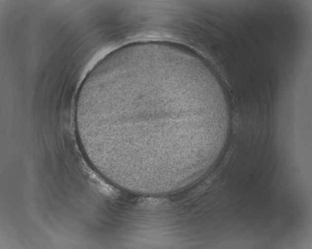 X0000076321374200610201627