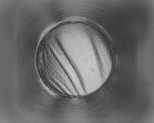 X0000076321379200610201627