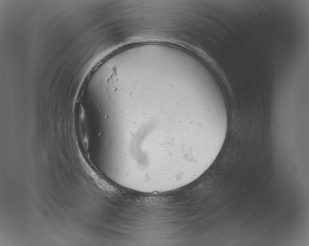 X0000076321380200610201627