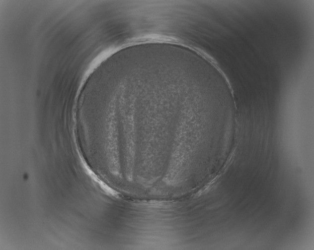 X0000076321381200610201627