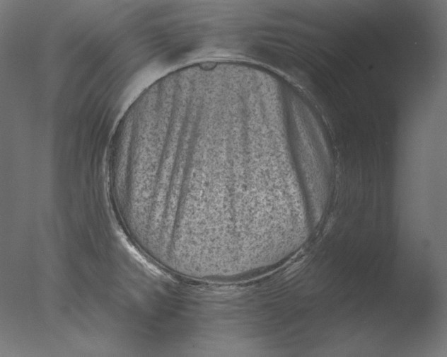 X0000076321382200610201627