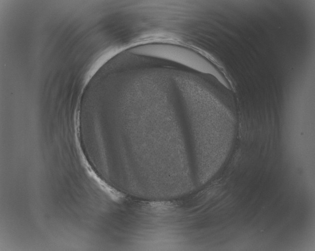 X0000076321383200610201627