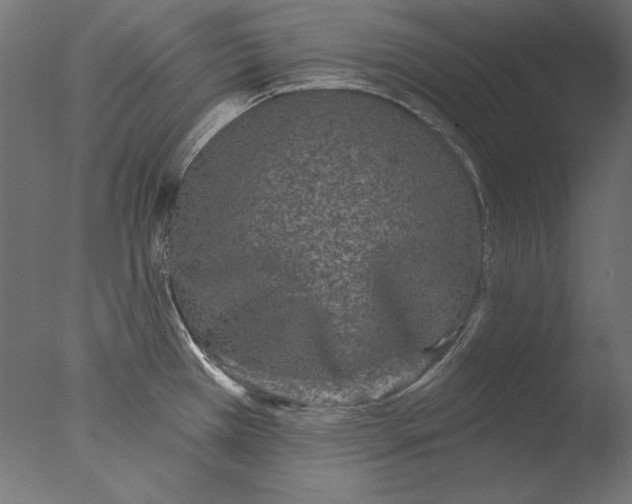 X0000076321385200610201627