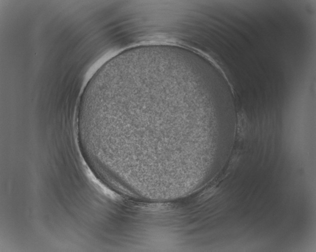 X0000076321387200610201627