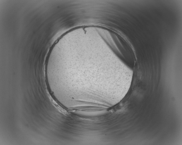 X0000076321388200610201627