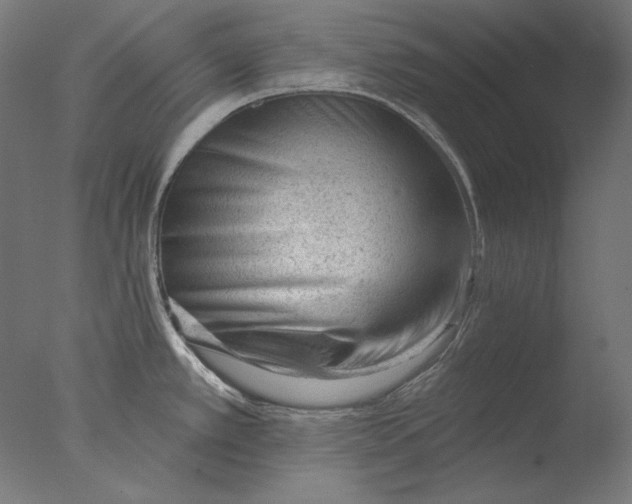 X0000076321389200610201627