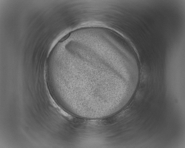 X0000076321390200610201627