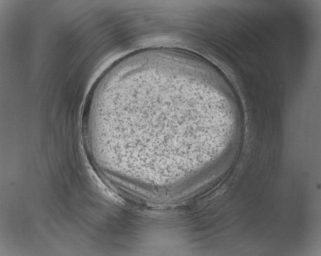 X0000076321392200610201627