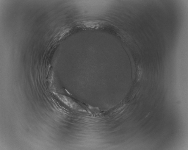 X0000076321394200610201626