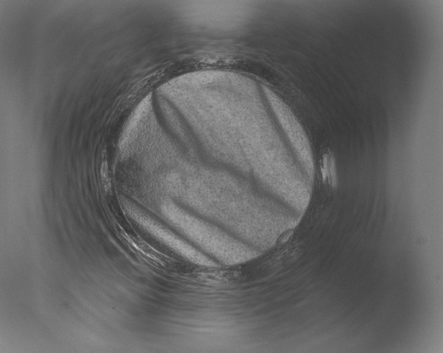 X0000076321396200610201626