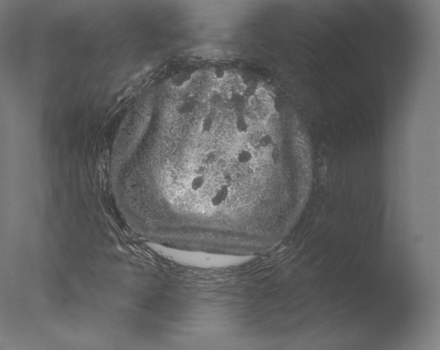 X0000076321397200610201626