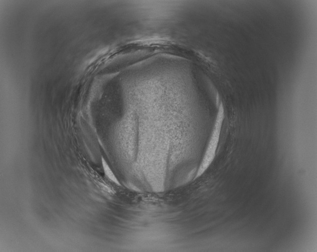 X0000076321398200610201626