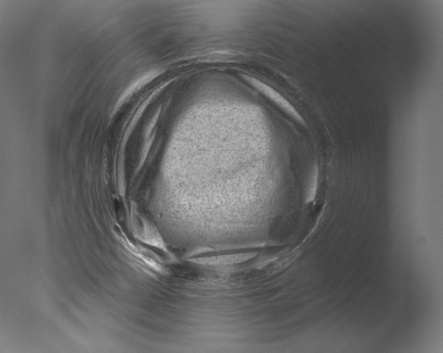 X0000076321402200610201626