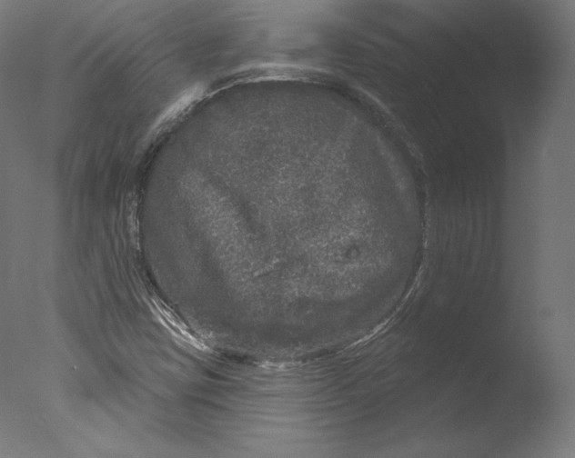 X0000076321403200610201627