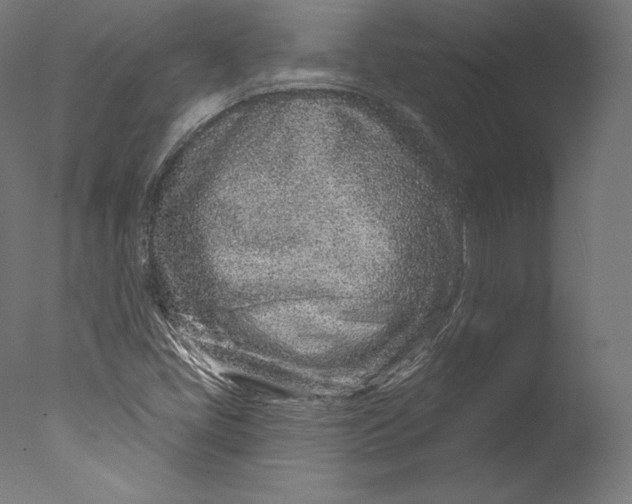 X0000076321405200610201627