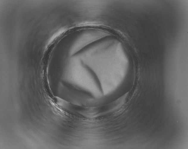 X0000076321406200610201627