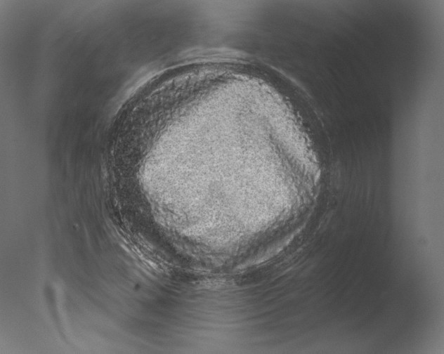 X0000076321407200610201627