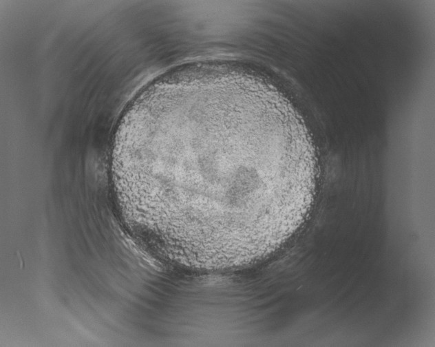 X0000076321409200610201627