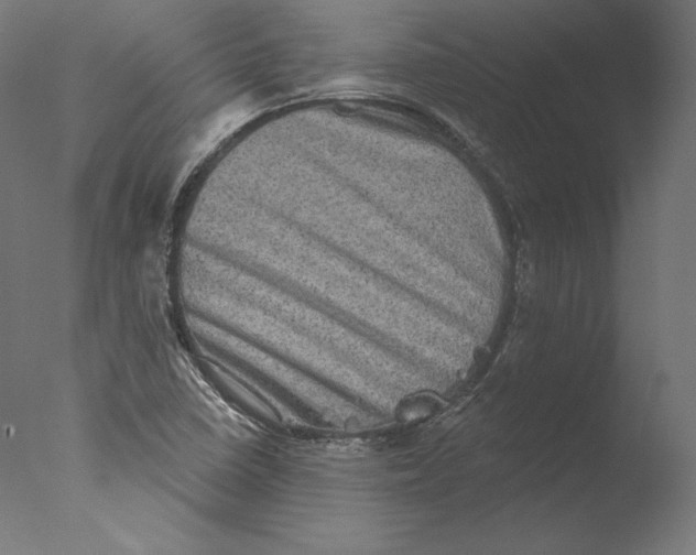 X0000076321410200610201627