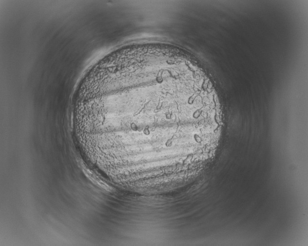 X0000076321413200610201627