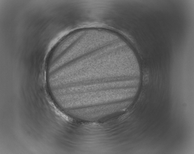 X0000076321414200610201627