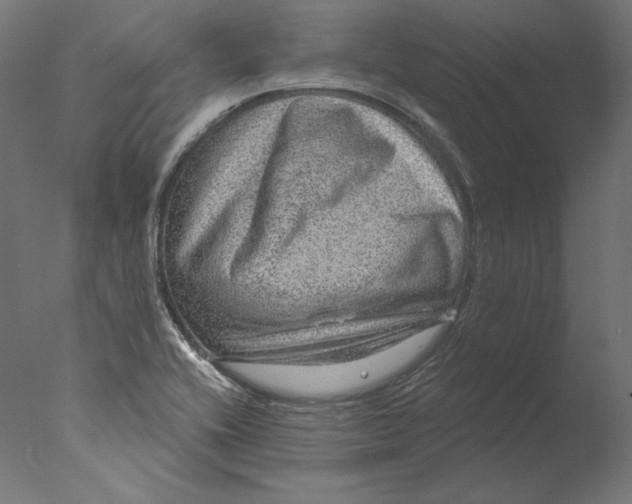 X0000076321416200610201627