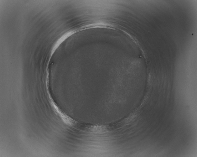 X0000076321418200610201627