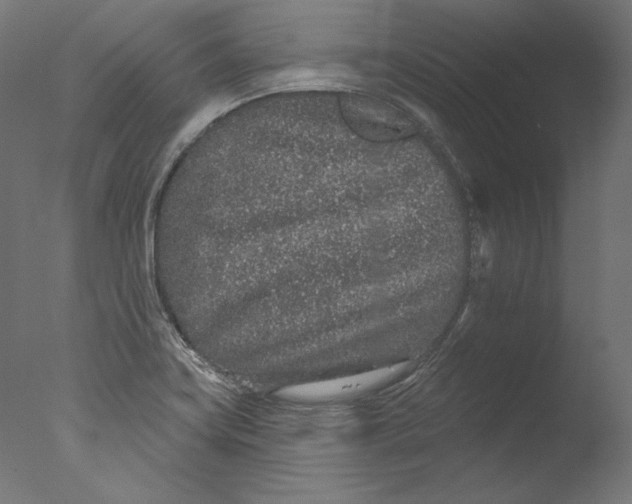 X0000076321419200610201627