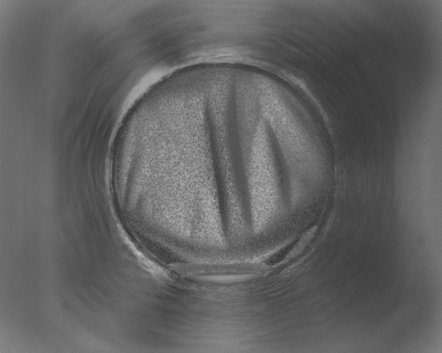 X0000076321424200610201627