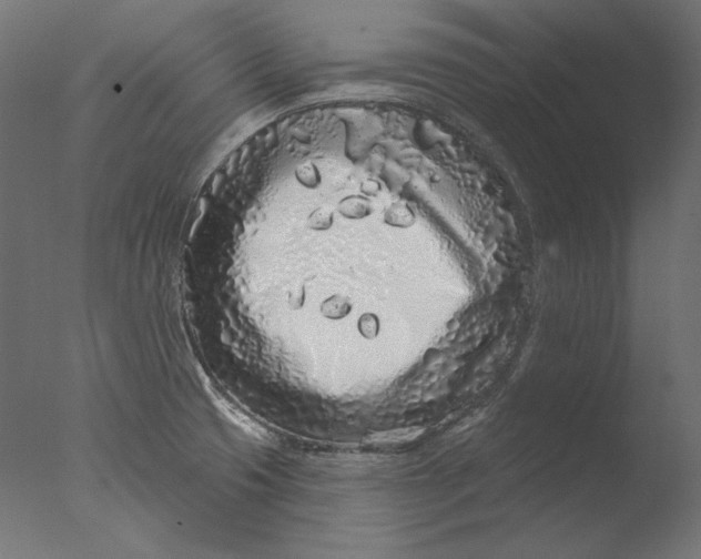 X0000076321425200610201627