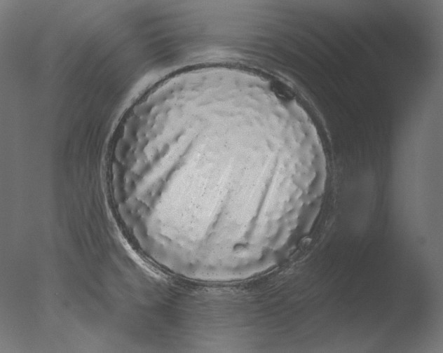 X0000076321429200610201627