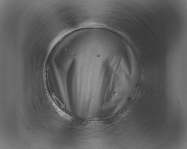 X0000076321430200610201627