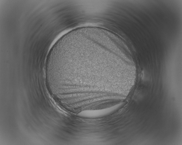 X0000076321436200610201627