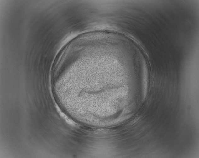 X0000076321439200610201627