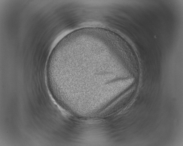 X0000076321440200610201627