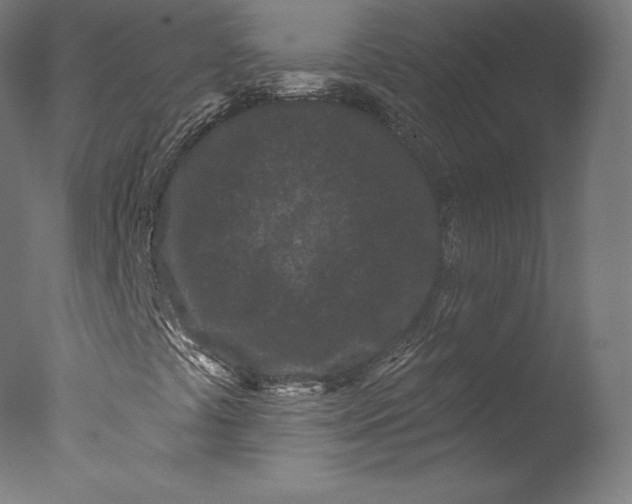 X0000076321441200610201626