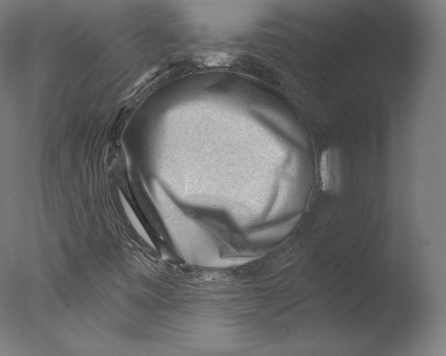 X0000076321443200610201626