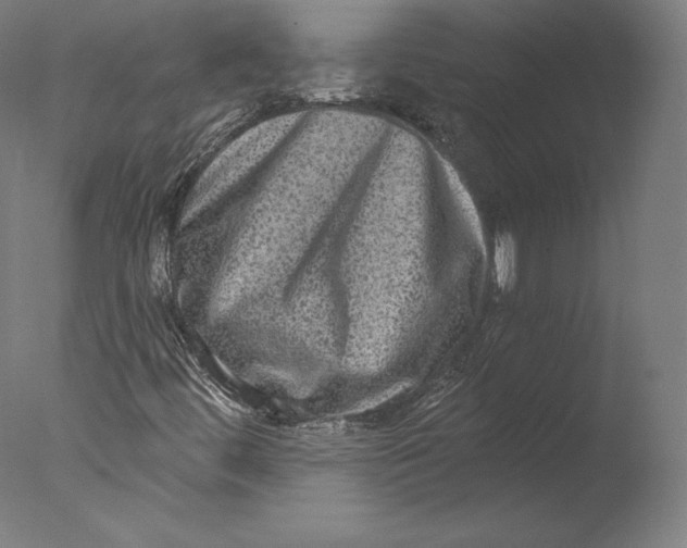 X0000076321444200610201626