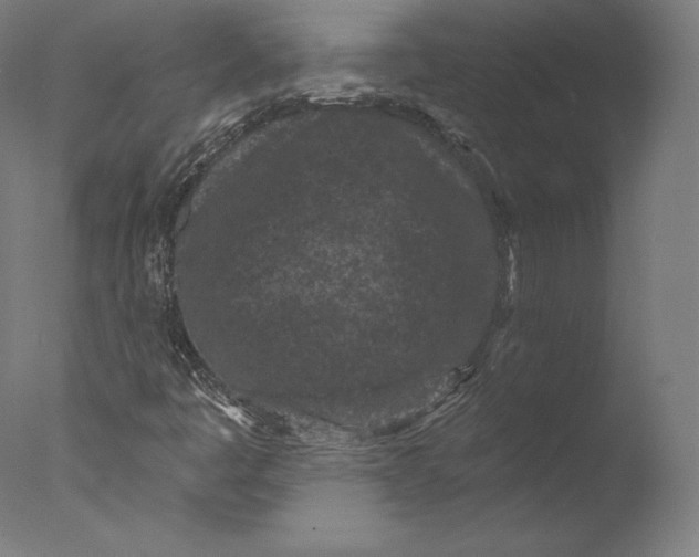 X0000076321445200610201626