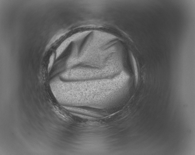 X0000076321448200610201626